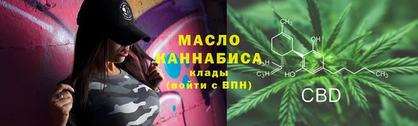 дмт Протвино