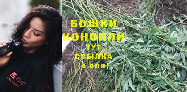 крисы Приозерск