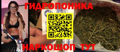 СК Абакан
