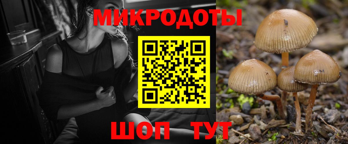 Псилоцибиновые грибы GOLDEN TEACHER Азнакаево